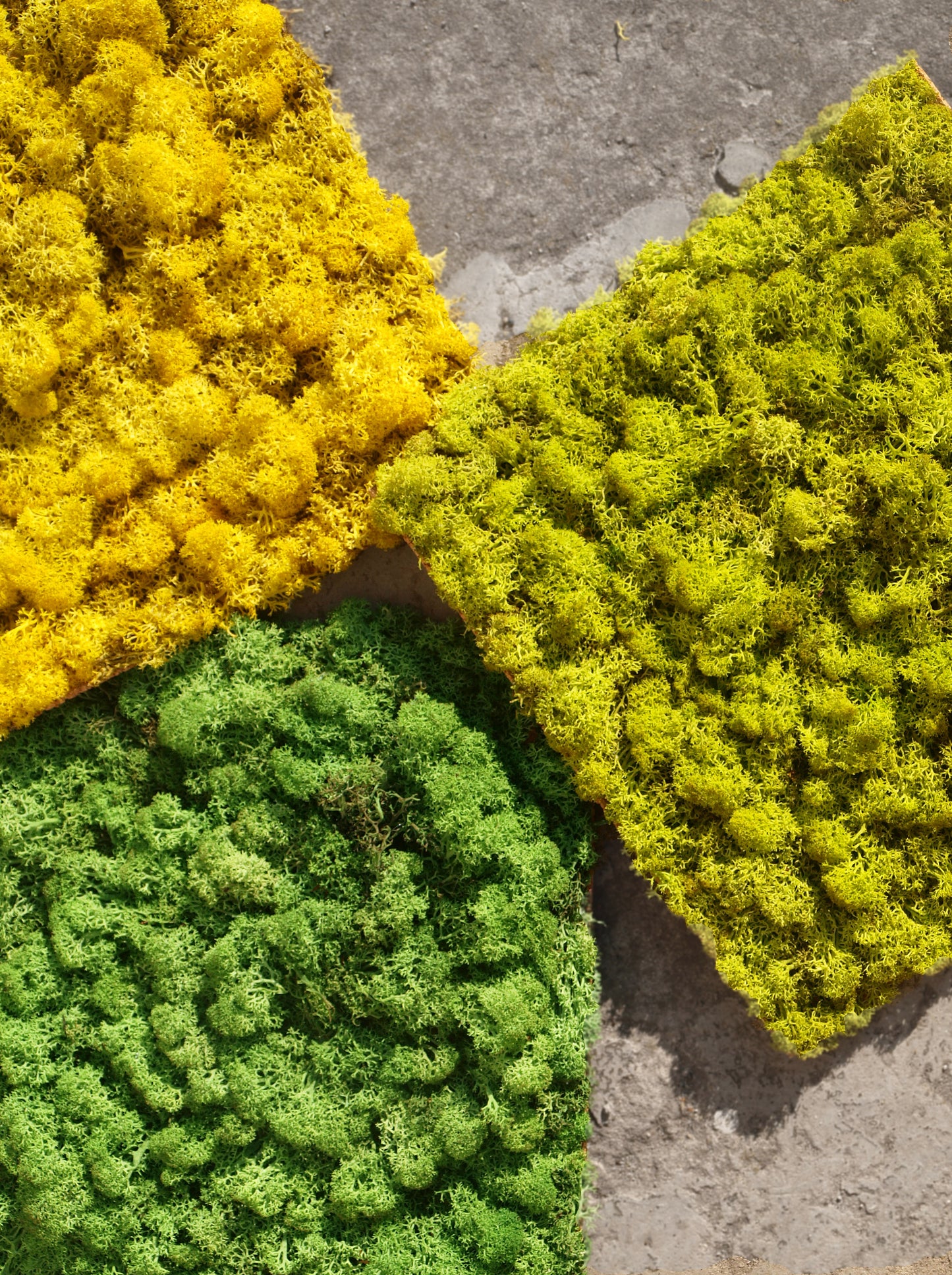 Economy Preserved Stabilized Moss Panel 20x20 Inch