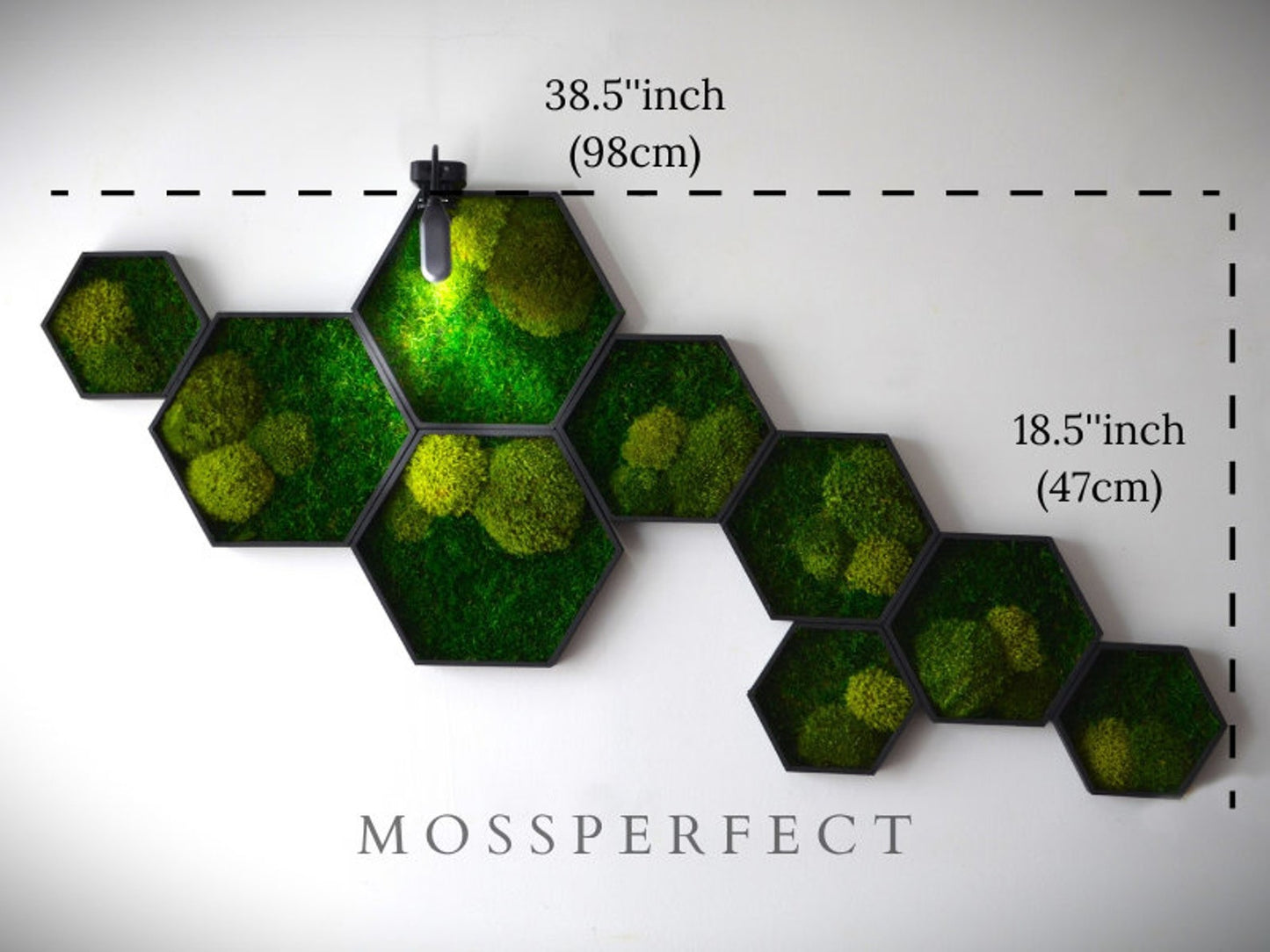 Modern Hexagon Framed Preserved Moss Art 38.5”* 18.5”