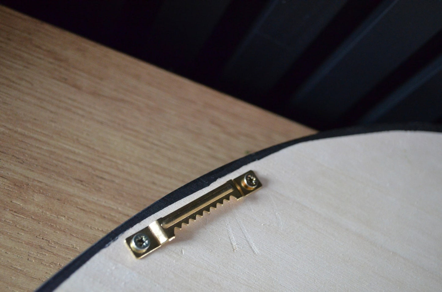 Round Framed Preserved Moss & Fern Wall Art 24”