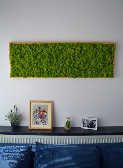 Tall Framed Preserved Moss Wall Art 20”*16”